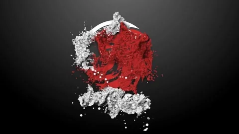 Particul logo reveal  After Effects	Stock