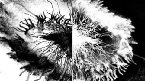 Particular explosion Stock Footage 65235853
