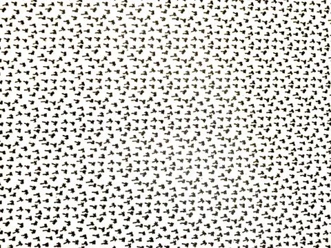 Particular of a folder container Stock Photos