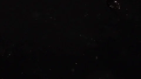 Particular footage 스톡 동영상 80216005