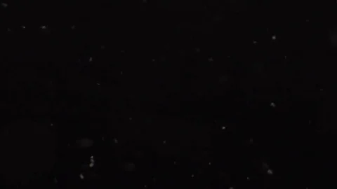 Particular footage 스톡 동영상 80217098