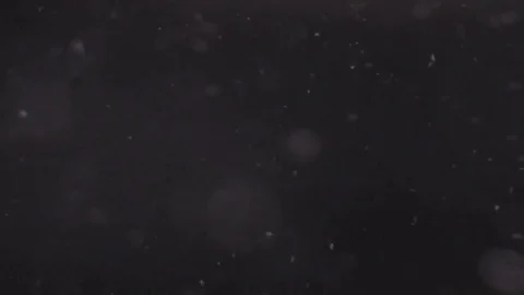 Particular footage 스톡 동영상 80217467