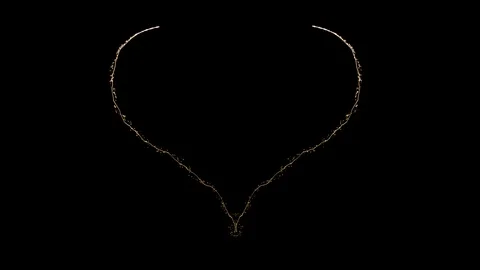 Particular heart 스톡 동영상 106945510