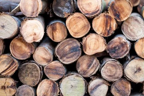 Particular of lumber Stock Photos