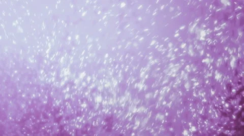 Particular Purple Background Loopable Stock Footage 61785419