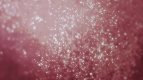 Particular Red Background Stock Footage 61785477