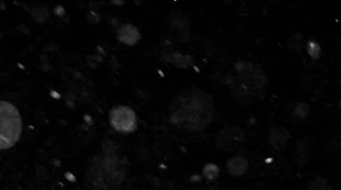 Particules 06 Stock Footage 34531445