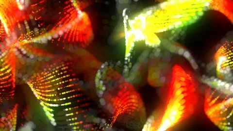 Partikular 4k 01 Vidéo 103180359