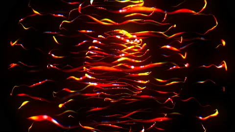 Partikular 4k 07 Vidéo 103180658