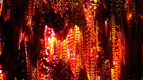 Partikular 4k 08 Stock Footage 103180688