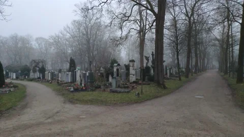 Parting of the ways 動画素材 168529986