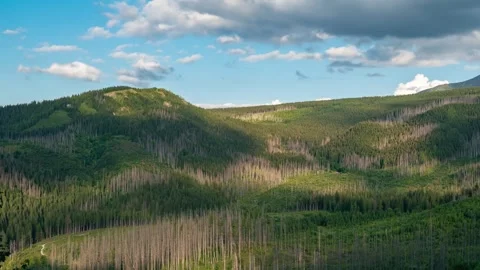 Partly Cloudy Skyline Atop Lush Tatras - Timelapse Stock Footage 306402195