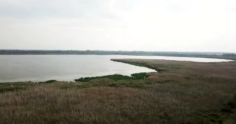 Partly dried flood plain overgrown with reeds and other wetland plants. Video stock 236969369