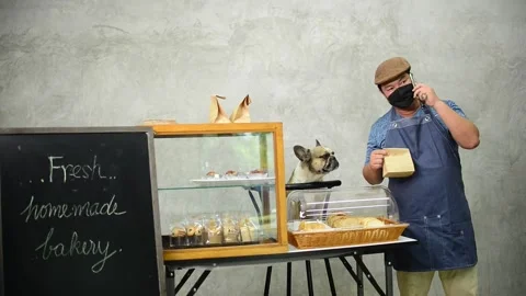 Partner Stock Footage 159232837