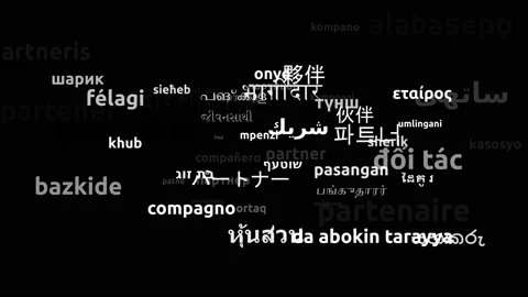 Partner Translated in 57 Worldwide Languages Endless Looping 3d Zooming Wordc Stock Footage 145213734