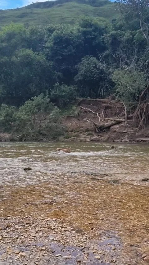 Partners Stock Footage 237904159