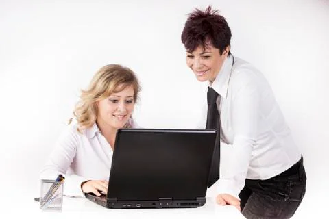 Partners work together wiit the computer Stock-Fotos