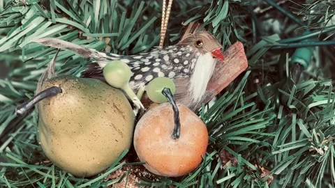 Partridge In a Christmas Tree Stock Footage 222583088
