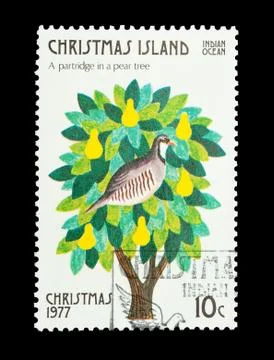 Partridge in a pear tree Stock Photos