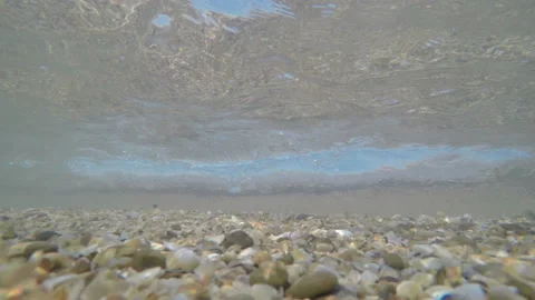 Parts of broken shells in waves Stock Footage 104746989