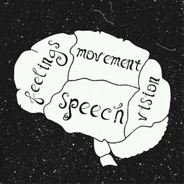 Parts of the human brain Illustrazione stock