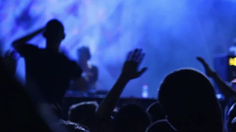 Party crowd Stock Footage 65743856