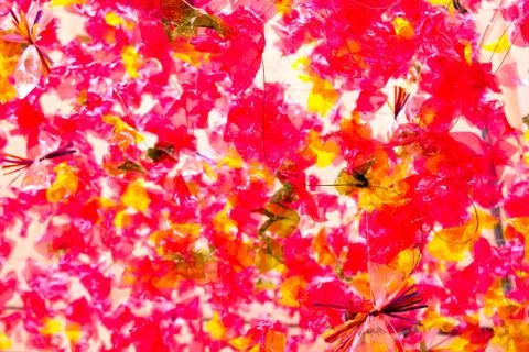 Party Decorations Stock Photos