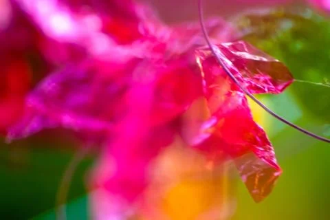 Party Decorations Stock Photos