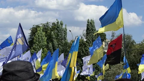 Party flags, national flags, banners, slogans - against the sky. Stock Footage 134162379