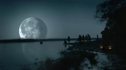 Party Stock Footage 20439593