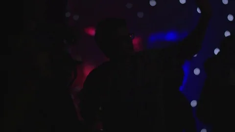 PARTY Stock Footage 73796833