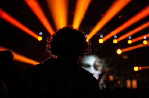 Party head Foto stock