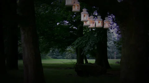 Party lights in the park Видео 30369041