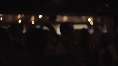 Party night crowd 2 Stock Footage 41685841