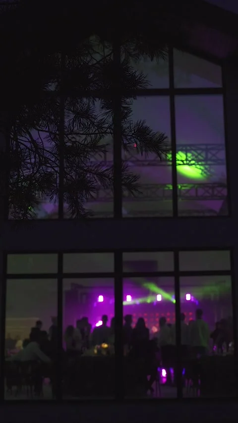 Party at night. View through window on silhouettes of dancing people. Private Stock Footage 318297667