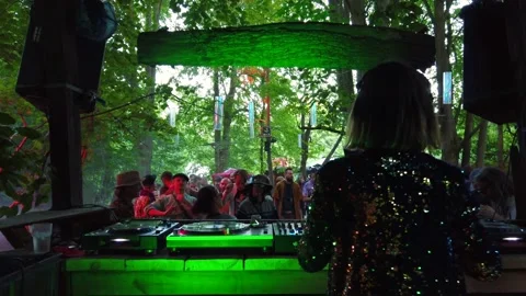 Party people crowd dancing ecstatically to music, flash lighting.
Female Stock Footage 204771640