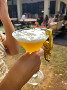 Party with preparation of drinks in bar Stock Photos