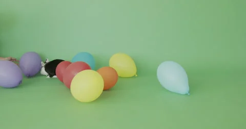 Party rabbit studio shot Stock Footage 158730874