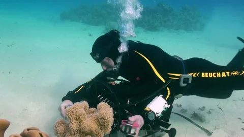 Party of technical divers develop their skills undersea Stock Footage 231495833