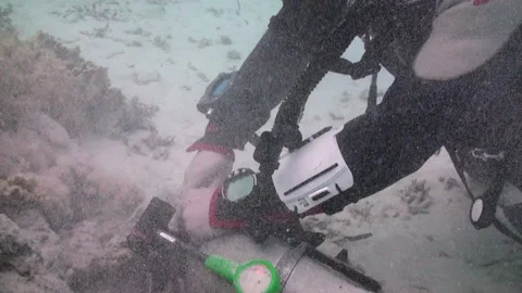 Party of technical divers develop their skills undersea Stock Footage 231496407