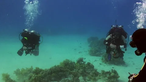 Party of technical divers improve their skills undersea Stock Footage 231644275