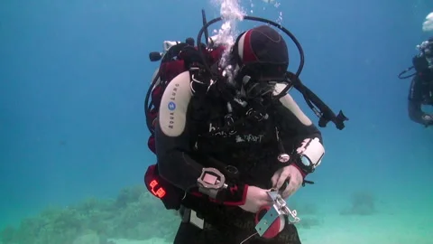 Party of technical divers improve their skills undersea Video stock 231645625