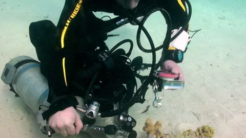 Party of technical divers refine their skills undersea Stock Footage 231495368