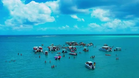 Party in to the water in a beach Stock Footage 133211117