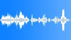 PartyCrowdWalla_ReactTClbSound Effect