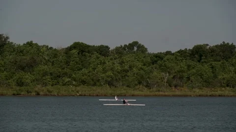 Pasadena, TX, US  - June 19, 2020 : 2 male rowers scull across Lake Mark Kramer Stock-Footage 197587716