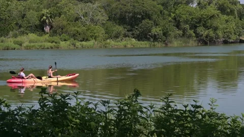 Pasadena, TX, US - June 26, 2022: Two female kayakers paddle up Armand Bayou. Stock-Footage 198744667
