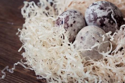 Paschal colored eggs in the nest. Photos