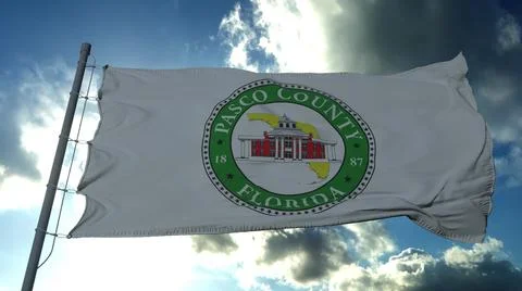 Pasco flag, county of the state of Florida, United States of America waving a 스톡 일러스트