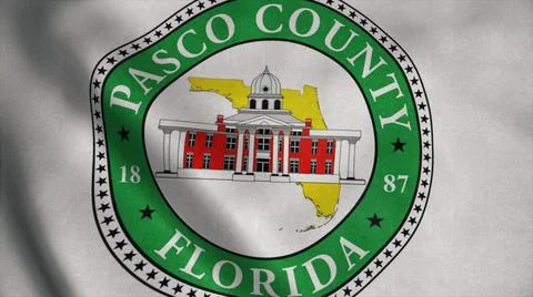 Pasco flag, county of the state of Florida, United States of America. 3d rend 스톡 일러스트